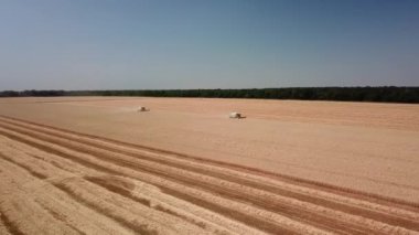 Rusya, Temmuz, 2019 - Birleştirme hasat: altın olgun toplama tarım makinesi havadan görünümü