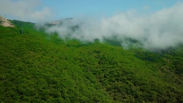 มุมมองทางอากาศของเมฆฝนเขียวชอุ่มปกคลุมภูเขาป่าฝนในช่วงฤดูฝนในภาคเหนือของครีม — วีดีโอสต็อก