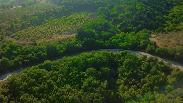 Drones Eye View-kanyargós úton a magas hegyi passz Crimea. Nagy út utazás. — Stock videók