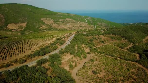 Paisagem da Crimeia: vista aérea das vinhas nas planícies da montanha . — Vídeo de Stock