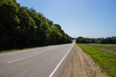 ağaçlar ve mavi gökyüzü ile kırsal alanda yol