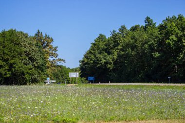 Orman ve çayır Yatay yaz arka plan