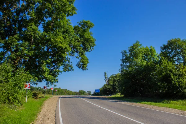 ağaçlar ve mavi gökyüzü ile kırsal alanda yol