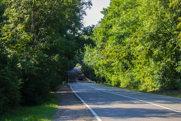 Carretera en una zona rural con árboles y cielo azul —  Fotos de Stock