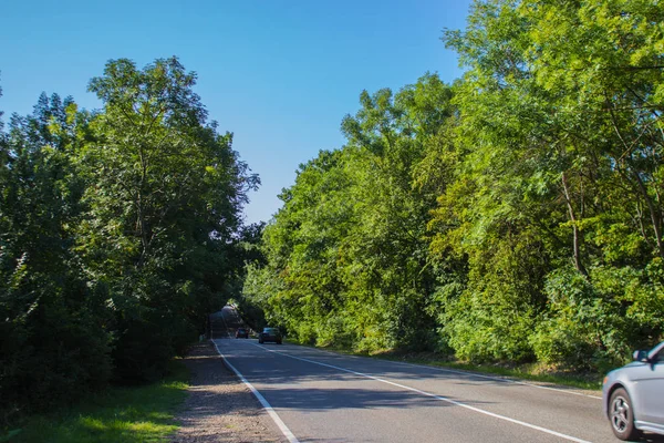 ağaçlar ve mavi gökyüzü ile kırsal alanda yol