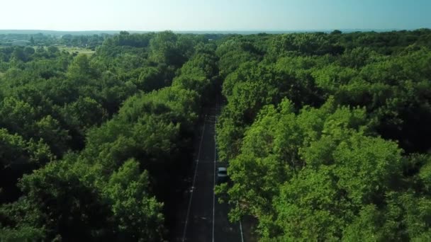 Vue aérienne - Survoler une route de campagne située entre une forêt densément peuplée — Video