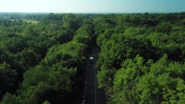 Dron z pohledu - Létání nad venkovskou cestou, která leží mezi hustě osídleným lesem — Stock video