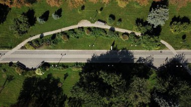 Krasnodar güneşli bir günde güzel renkli sonbahar parkı, Rusya