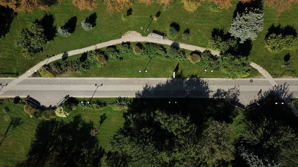 Krasnodar güneşli bir günde güzel renkli sonbahar parkı, Rusya