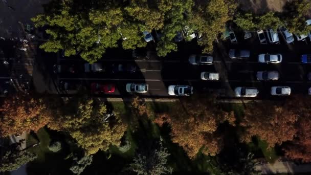 Drons Eye View: повітряний міський трафік, вид зверху вниз по шосе зайнятого міста . — стокове відео