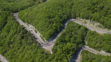 Yeşil dağ ormanları arasında virajlı bir yol, yukarıdan aşağı hava manzaralı. Yaz manzarası.