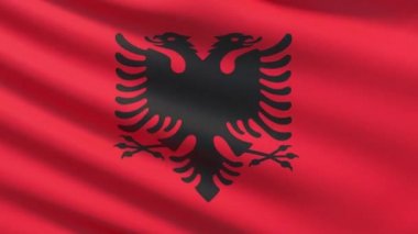 Arnavutluk bayrağı