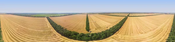 Vista panorámica aérea del campo de trigo dorado maduro en verano — Foto de Stock