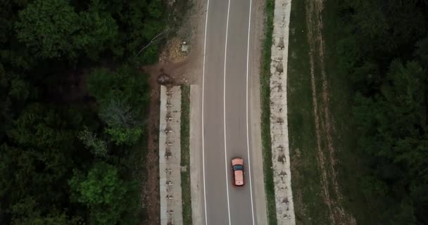 Drone synvinkel, spårningsläge: antenn utsikt flyger över två körfält landsbygden skog väg med orange bil flyttar gröna träd av tät skog växer båda sidor. Bilkörning längs skogsvägen. — Stockvideo