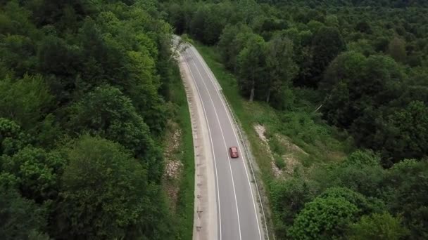 드론 관점, 트래킹 모드: 2 차선 숲 도로 위를 비행하는 공중 풍경 과 주황색 자동차는 양쪽으로 자라는 울창 한 숲 속의 초록빛 나무들을 이동 시킨다. 숲 속 도로를 따라 차를 운전하는 모습. — 비디오