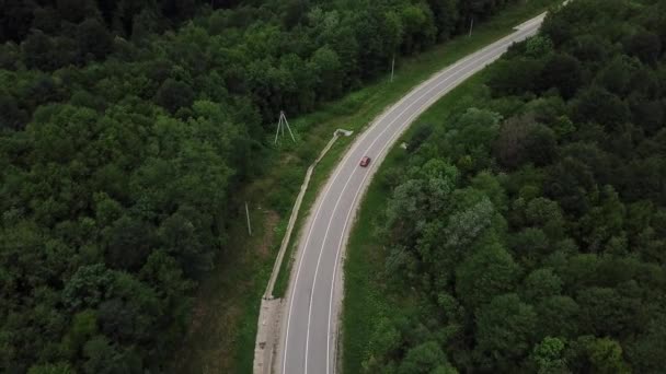 Drone synvinkel, spårningsläge: antenn utsikt flyger över två körfält landsbygden skog väg med orange bil flyttar gröna träd av tät skog växer båda sidor. Bilkörning längs skogsvägen. — Stockvideo