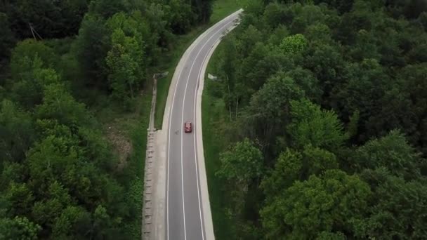 Punkt widzenia drona, tryb śledzenia: widok z powietrza przelatujący nad dwoma pasami wiejskimi leśną drogą z pomarańczowym samochodem poruszającym się zielonymi drzewami gęstego lasu rosnącymi z obu stron. Jazda samochodem wzdłuż drogi leśnej. — Wideo stockowe