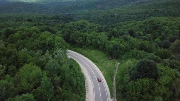 Drone synvinkel, spårningsläge: antenn utsikt flyger över två körfält landsbygden skog väg med orange bil flyttar gröna träd av tät skog växer båda sidor. Bilkörning längs skogsvägen. — Stockvideo