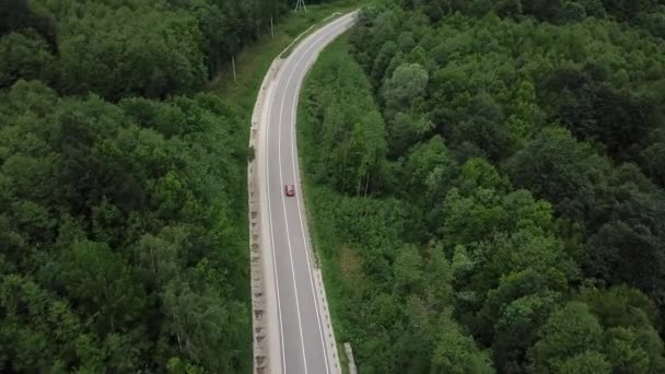 Drone názor, režim sledování: letecký pohled letící nad dvěma pruhy krajiny lesní silnice s oranžové auto pohybující zelené stromy hustých lesů rostoucích po obou stranách. Auto jedoucí po lesní cestě. — Stock video