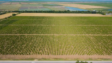 Çayır ve tarım arazisi arasındaki boş otoyol manzarası.