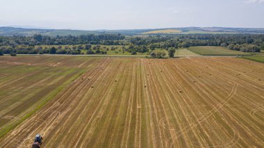Hava görüntüsü: yeşil mısır tarlası ve samanlıkların üzerinde uçuyor