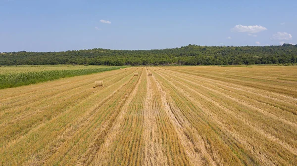 Αεροφωτογραφία: πετούν πάνω από το πράσινο cornfield και haystacks — Φωτογραφία Αρχείου