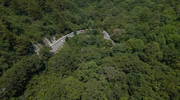 Vista aérea desde el dron de la carretera curva con un coche en la montaña con bosque verde en Rusia — Foto de Stock