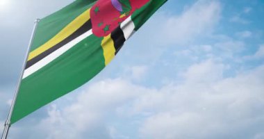 Dünyanın bayraklarını sallıyor - Dominika bayrağı.