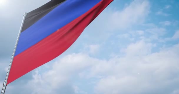 Waving flags of the world - flag of Donetsk Peoples Republic. — Stock Video