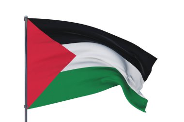 Üç boyutlu illüstrasyon. Dünyanın bayraklarını sallıyordu. Filistin bayrağı. Beyaz arkaplanda izole.