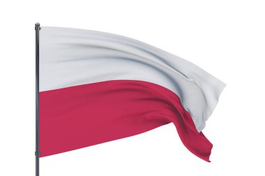 Üç boyutlu illüstrasyon. Dünyanın bayraklarını sallıyor, Polonya bayrağı. Beyaz arkaplanda izole.
