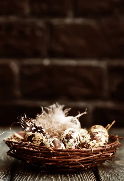 Oeufs Caille Dans Nid Sur Une Table — Photo