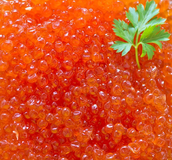 Caviar Rojo Cuchara Tazón —  Fotos de Stock