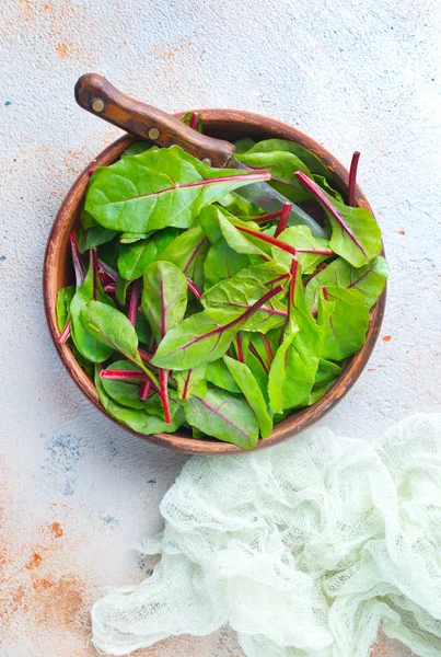 Salată Proaspătă Frunze Verzi Sau Mangold — Fotografie, imagine de stoc