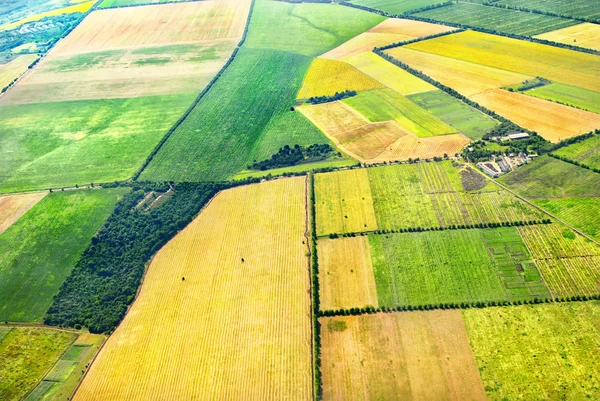 Κηφήνας Πανόραμα Airview Γεωργία Γεωργία Πεδία Δείτε Πουλί — Φωτογραφία Αρχείου