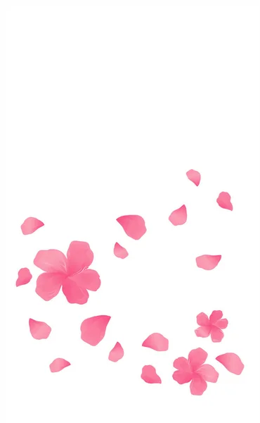 Sakura rosa blommor och flygande blomblad isolerad på vit bakgrund. Äppelträd blommor. Körsbärsblommor. Vektor — Stock vektor