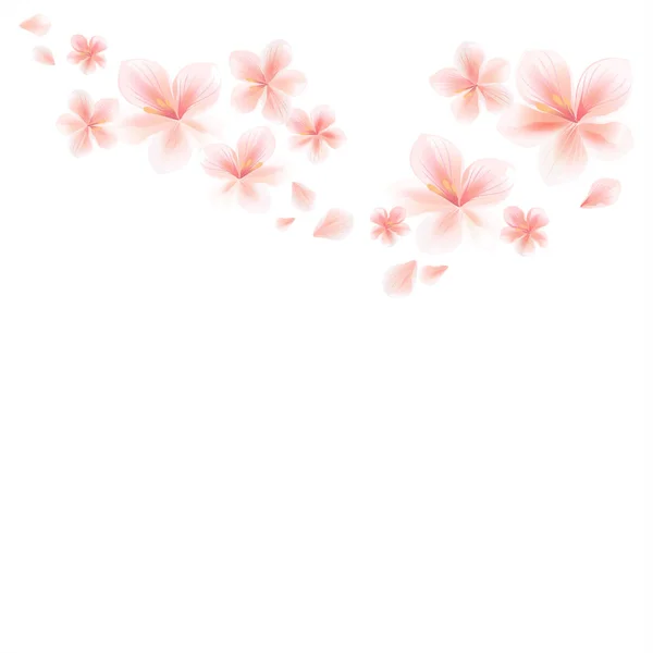 Rosa Sakura Flores Pétalos Voladores Aislados Sobre Fondo Blanco Flores — Vector de stock