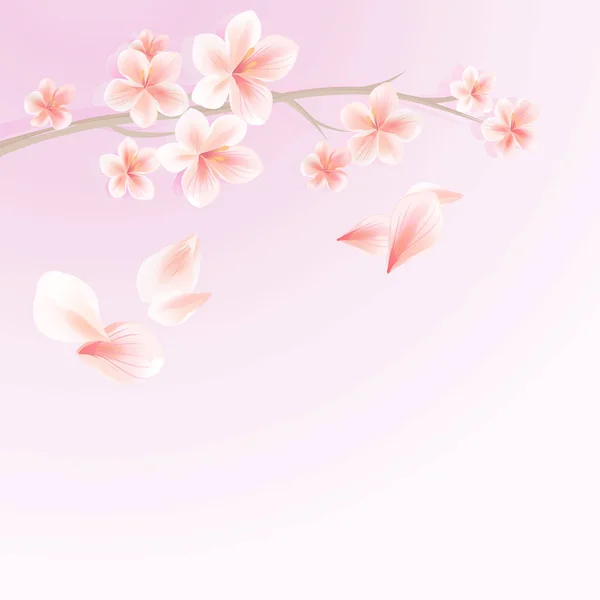 Ramo Sakura Com Flores Pétalas Voadoras Isoladas Fundo Macio Gradiente — Vetor de Stock