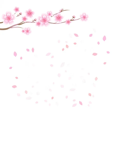 Rama de sakura con flores rosadas. Flor de cerezo y pétalos voladores aislados sobre fondo blanco. Pétalos en forma de corazón. Vector — Archivo Imágenes Vectoriales