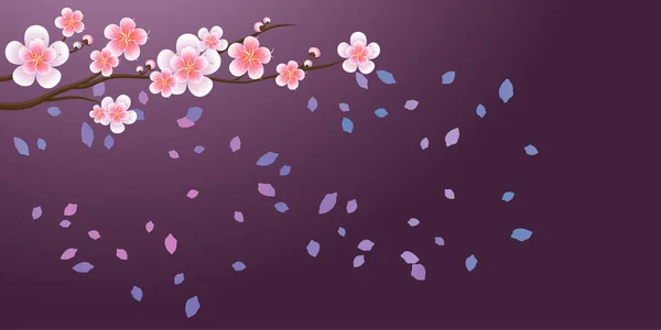 Flor de cerezo. Rama de sakura con flores y pétalos voladores aislados sobre fondo púrpura oscuro. Vector — Archivo Imágenes Vectoriales