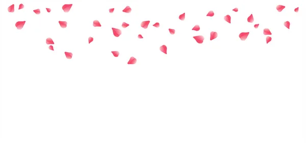 Rosa Pétalos voladores rojos aislados en blanco. Sakura Roses pétalos. Vector — Archivo Imágenes Vectoriales