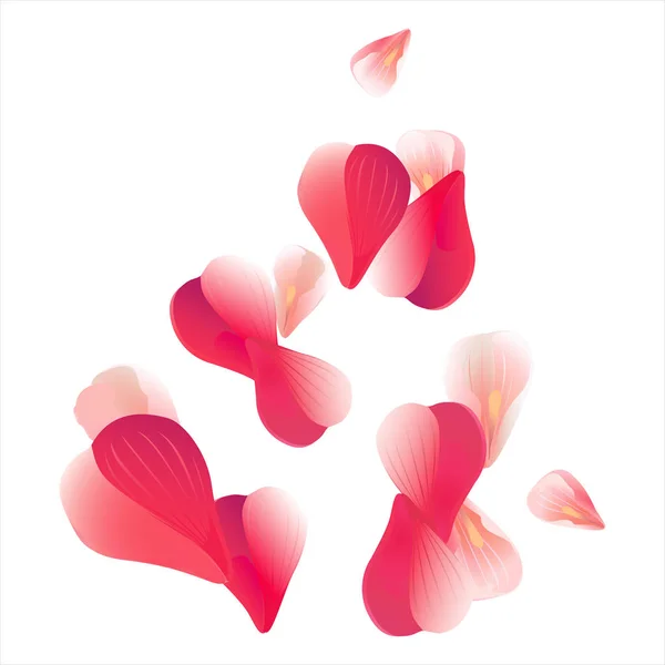 Rosa Pétalos voladores rojos aislados sobre fondo blanco. Sakura Roses pétalos. Vector — Vector de stock