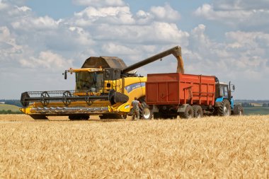 Kharkiv bölgesi, Ukrayna - 13 Temmuz 2018: Kharkiv bölgesi, Ukrayna üzerinde 13 Temmuz 2018 güneşli yaz günü hasat zamanında hasat yük buğday kamyonda birleştirmek.