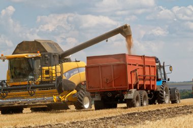 Kharkiv bölgesi, Ukrayna - 13 Temmuz 2018: Kharkiv bölgesi, Ukrayna üzerinde 13 Temmuz 2018 güneşli yaz günü hasat zamanında hasat yük buğday kamyonda birleştirmek.