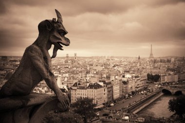 Notre-Dame Katedrali 'nin Paris çatı manzarası.