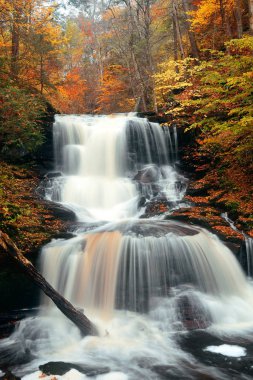 Parkta renkli yapraklarla sonbahar şelaleleri.
