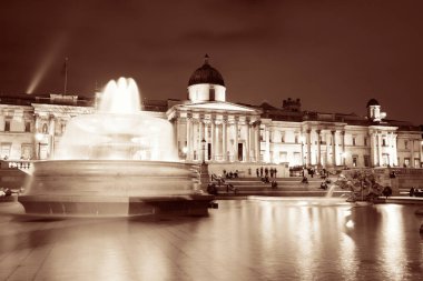 Trafalgar Meydanı Çeşmesi ve Londra national gallery ile gece