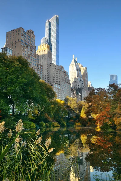 Central Park Morning Bright Sunlight Urban Skyscrapers Autumn New York — Stock Photo, Image