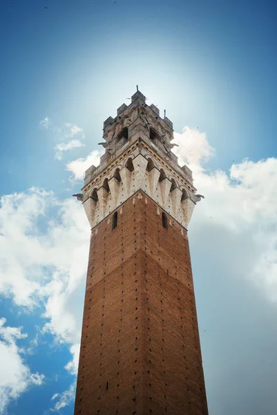 Görünümü City Hall Çan Kulesi Siena Talya — Stok fotoğraf