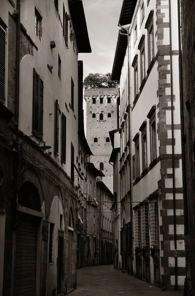 Malowniczy Widok Starych Wąska Ulica Lucca Włoszech — Zdjęcie stockowe